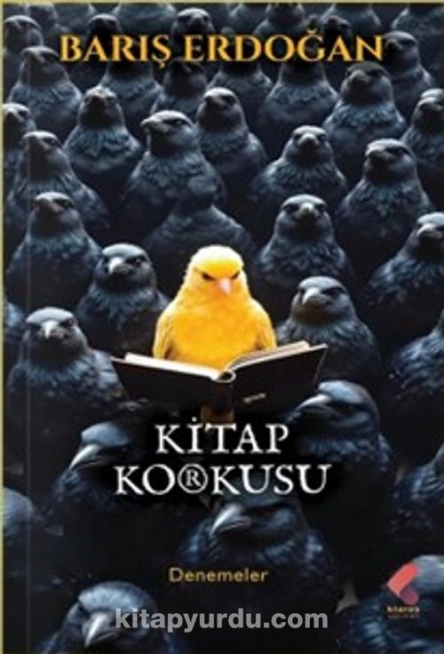 Kitap Korkusu