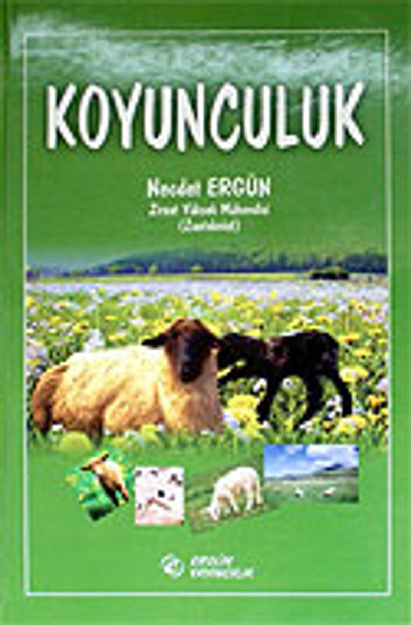 Koyunculuk
