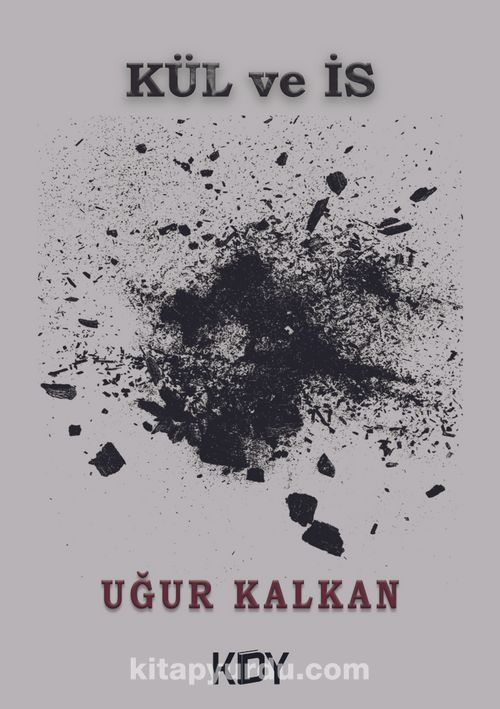 Kül ve İs
