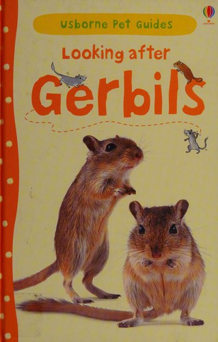 Looking after Gerbils