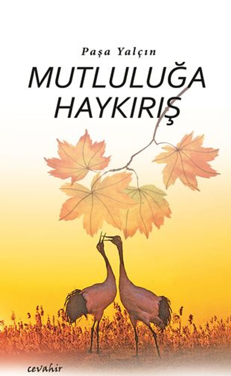 Mutluluğa Haykırış