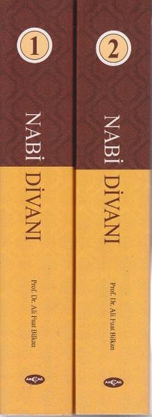 Nabi Divanı
