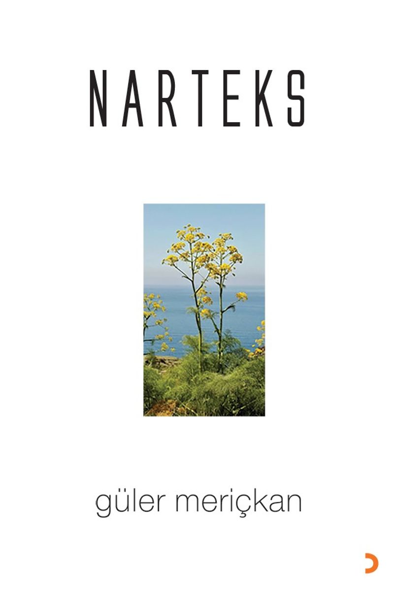 Narteks