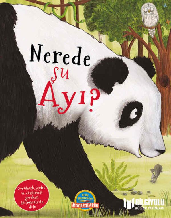 Nerede Şu Ayı?