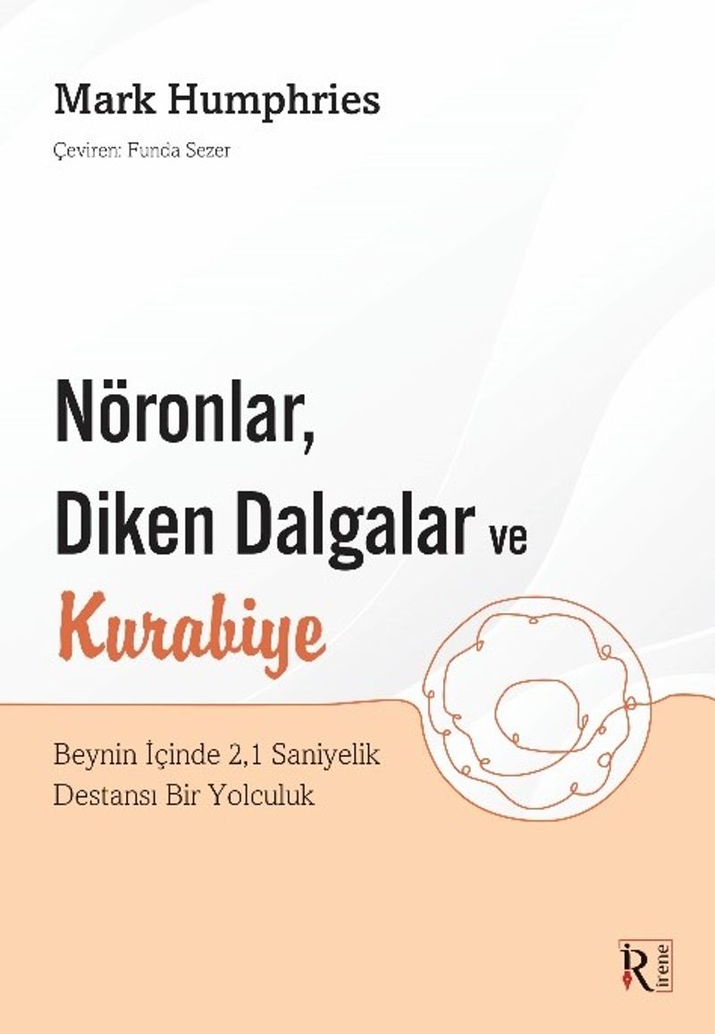Nöronlar, Diken Dalgalar ve Kurabiye  Beynin İçinde 2,1 Saniyelik Destansı Bir Yolculuk