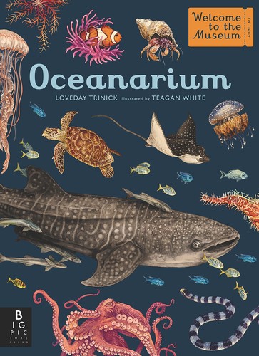Oceanàrium
