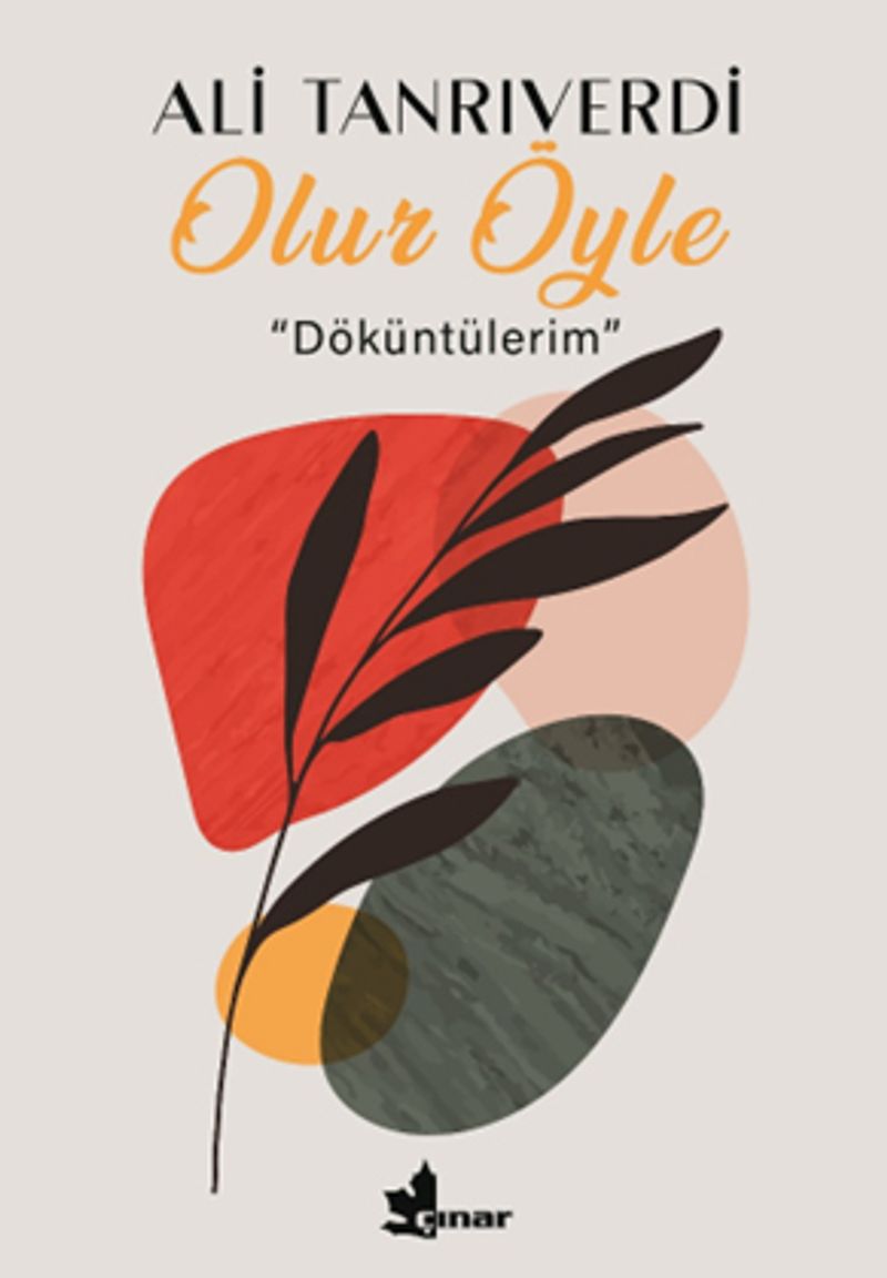 Olur Öyle Döküntülerim