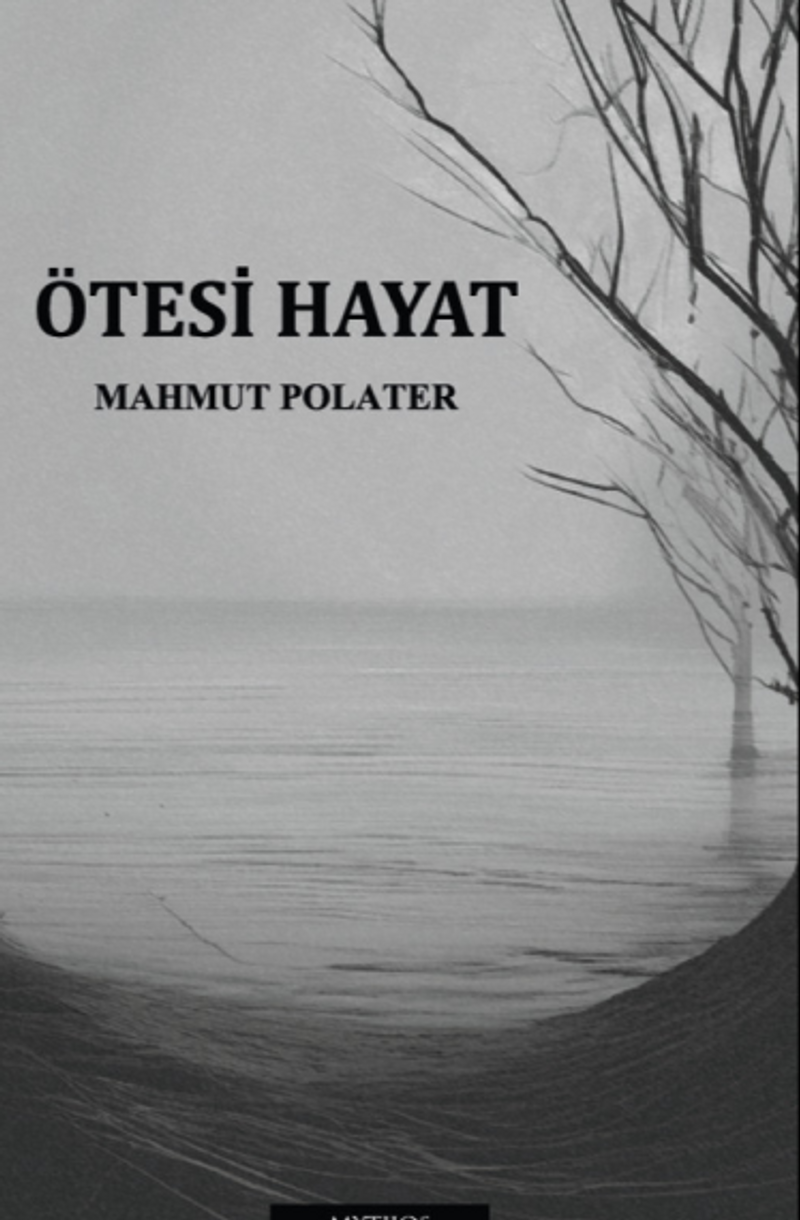 Ötesi Hayat
