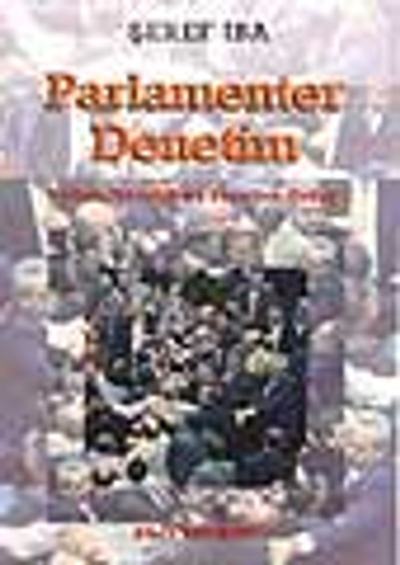 Parlamenter Denetim