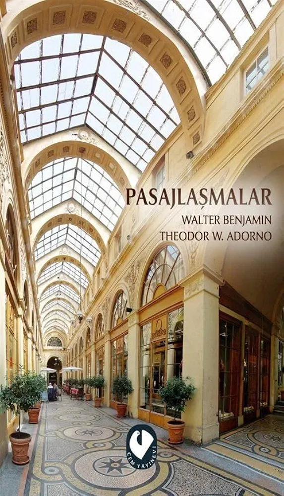 Pasajlaşmalar