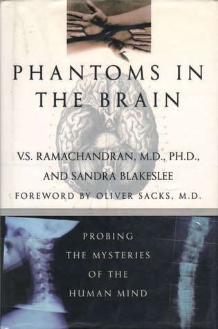 Phantoms in the Brain