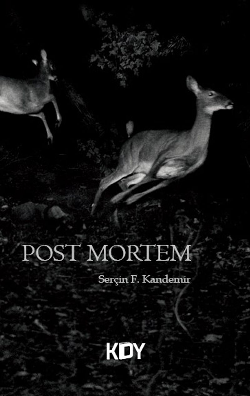 Post Mortem