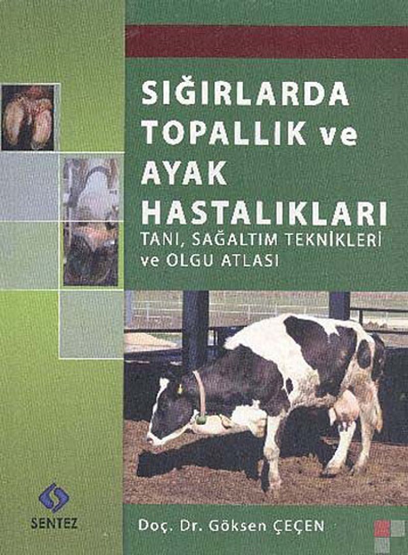 Sığırlarda Topallık ve Ayak Hastalıkları   Tanı Sağaltım Teknikleri ve Olgu Atlası