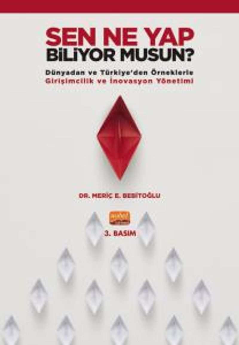 Sen Ne Yap Biliyor Musun?  Dünyadan ve Türkiye'den Örneklerle Girişimcilik ve İnovasyon Yönetimi