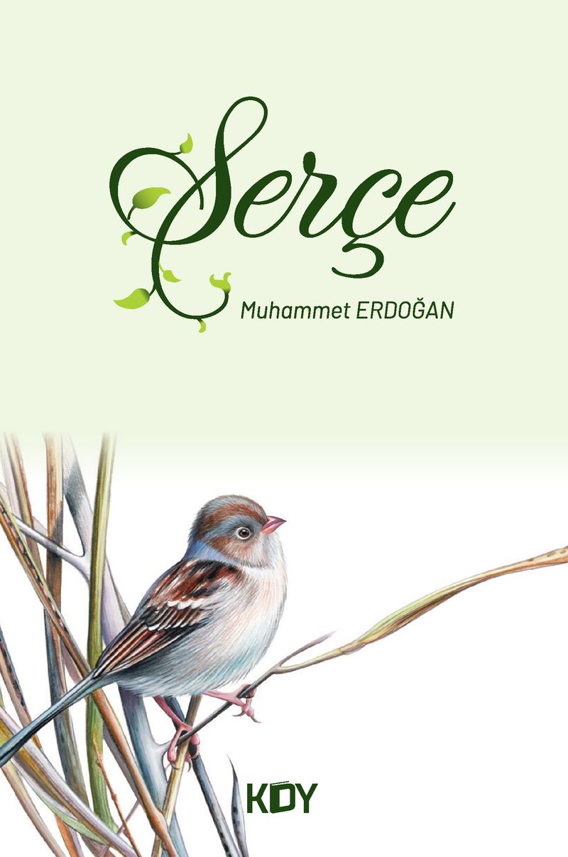Serçe