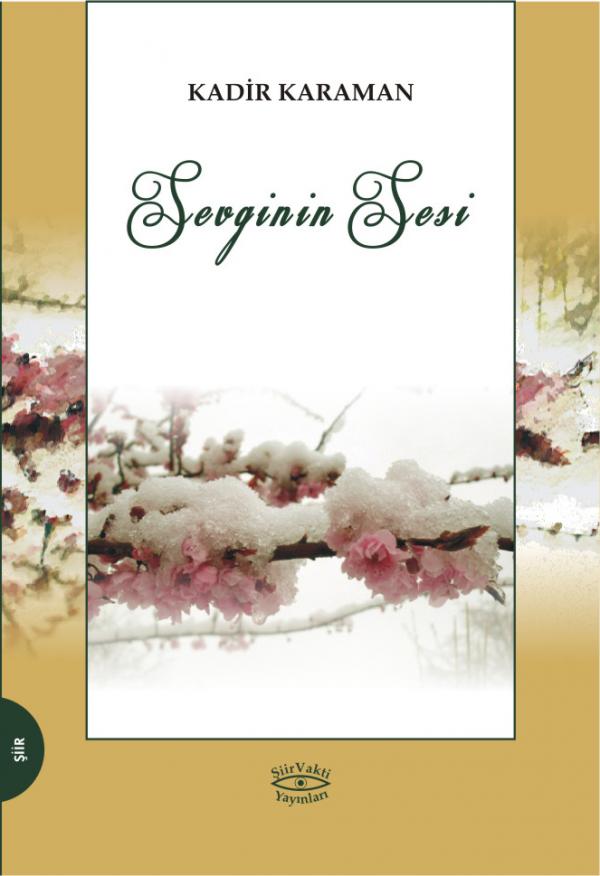 Sevginin Sesi