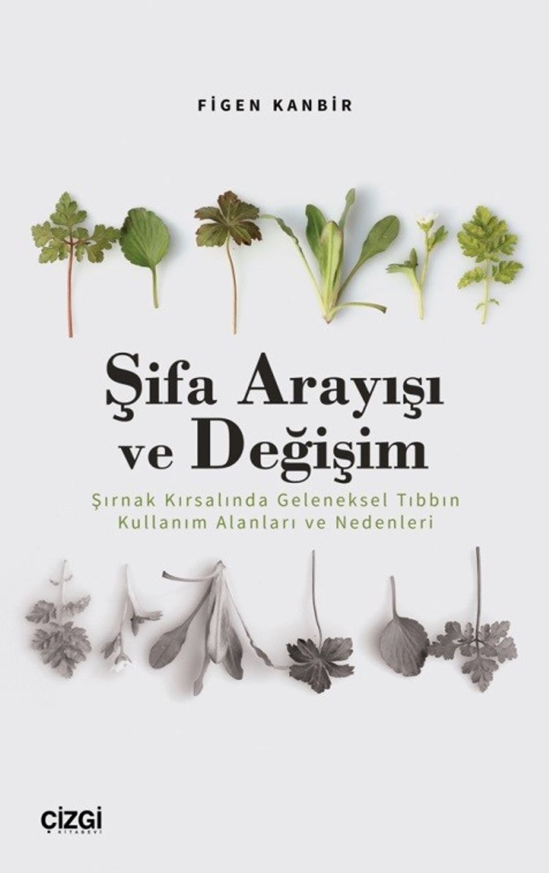 Şifa Arayışı ve Değişim  Şırnak Kırsalında Geleneksel Tıbbın Kullanım Alanları ve Nedenleri