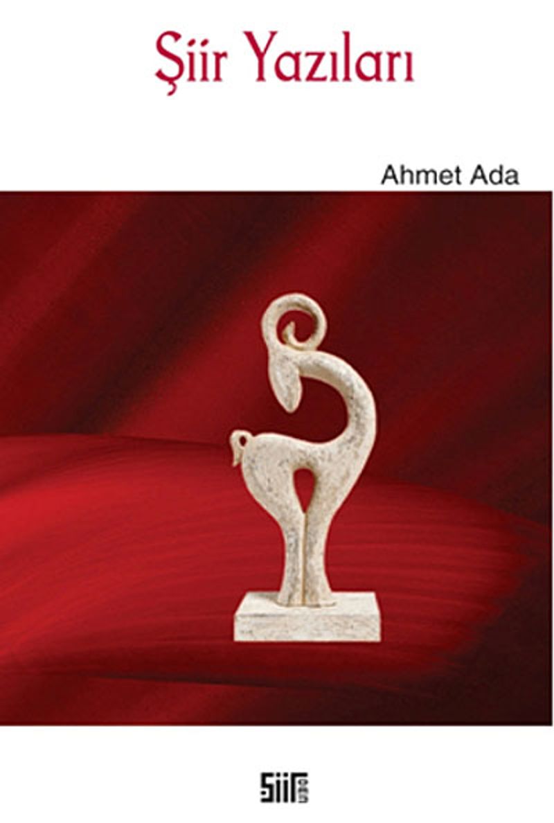 Şiir Yazıları