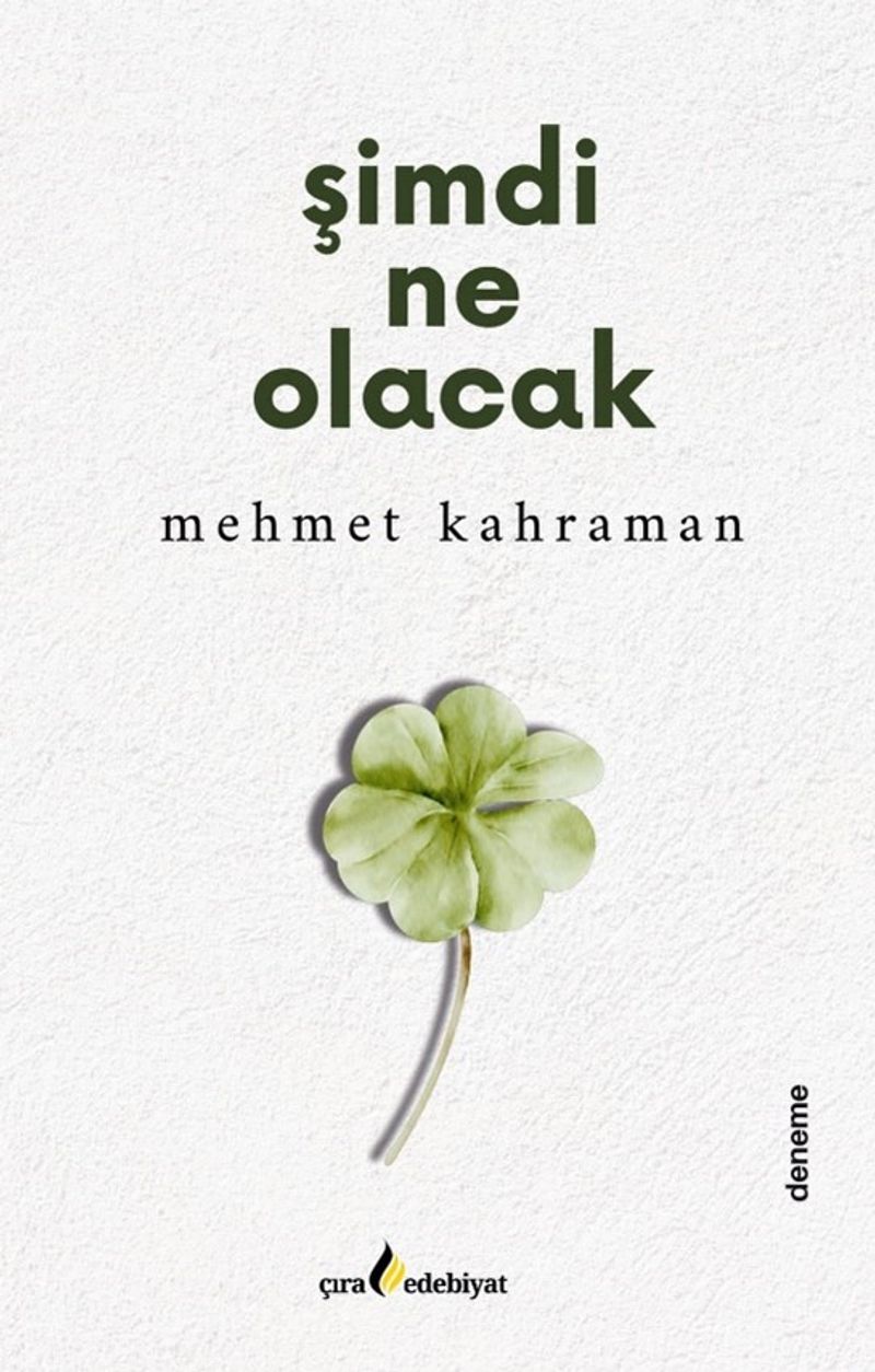 Şimdi Ne Olacak