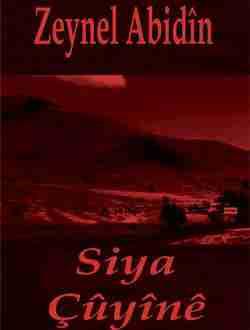Siya Çûyînê