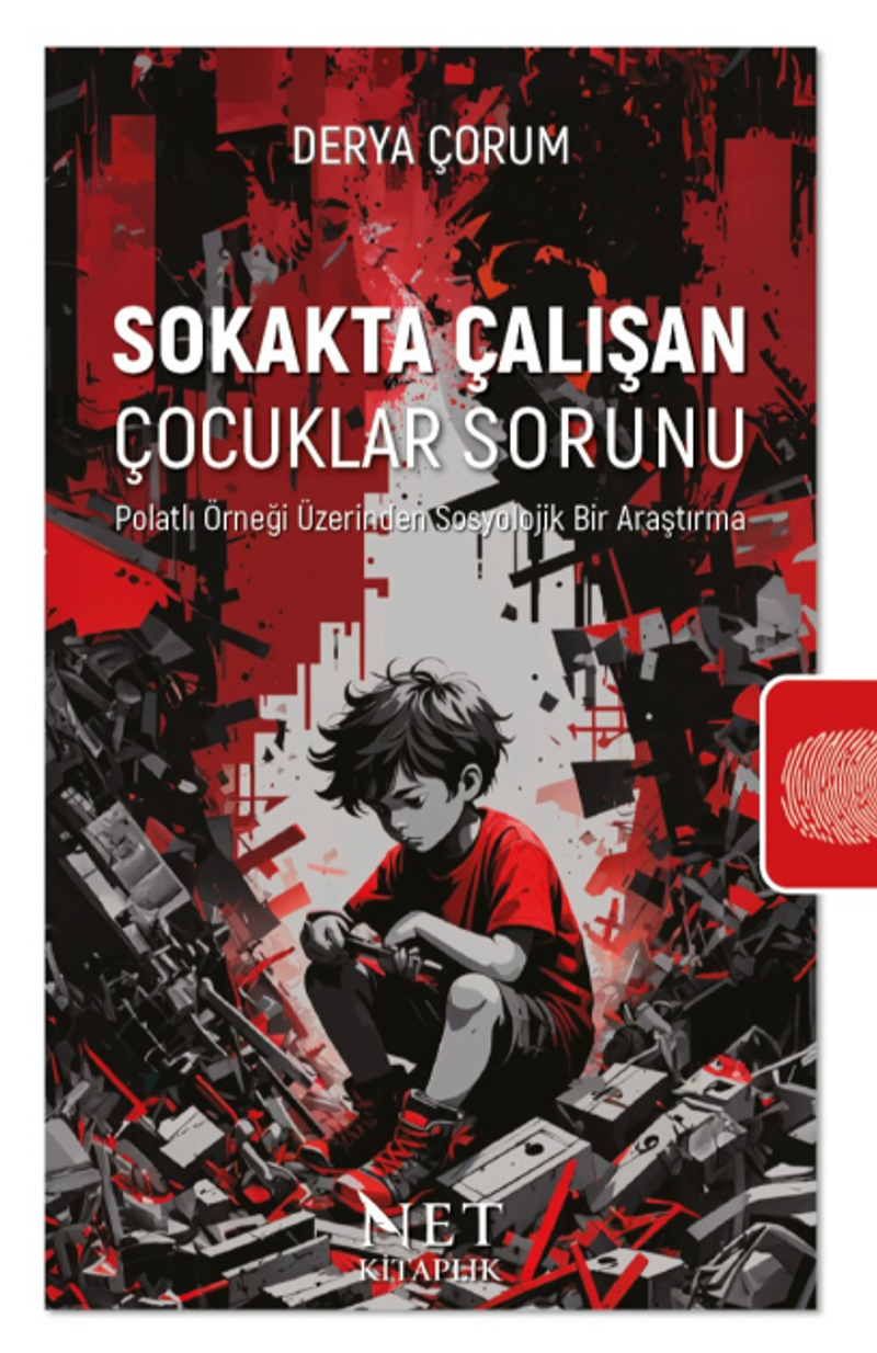 Sokakta Çalışan Çocuklar Sorunu Polatlı Örneği Üzerinden Sosyolojik Bir Araştırma