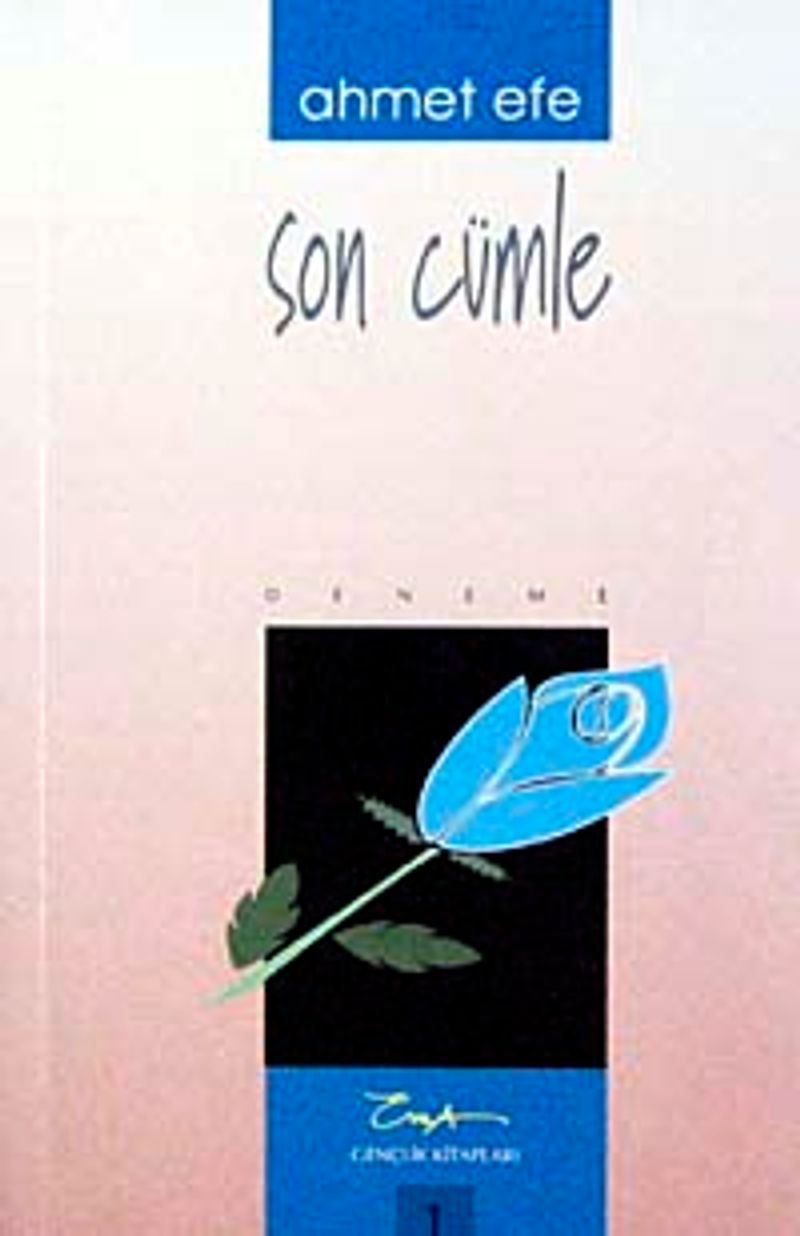 Son Cümle
