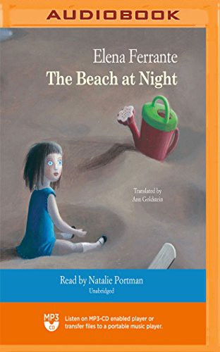 Spiaggia di notte
