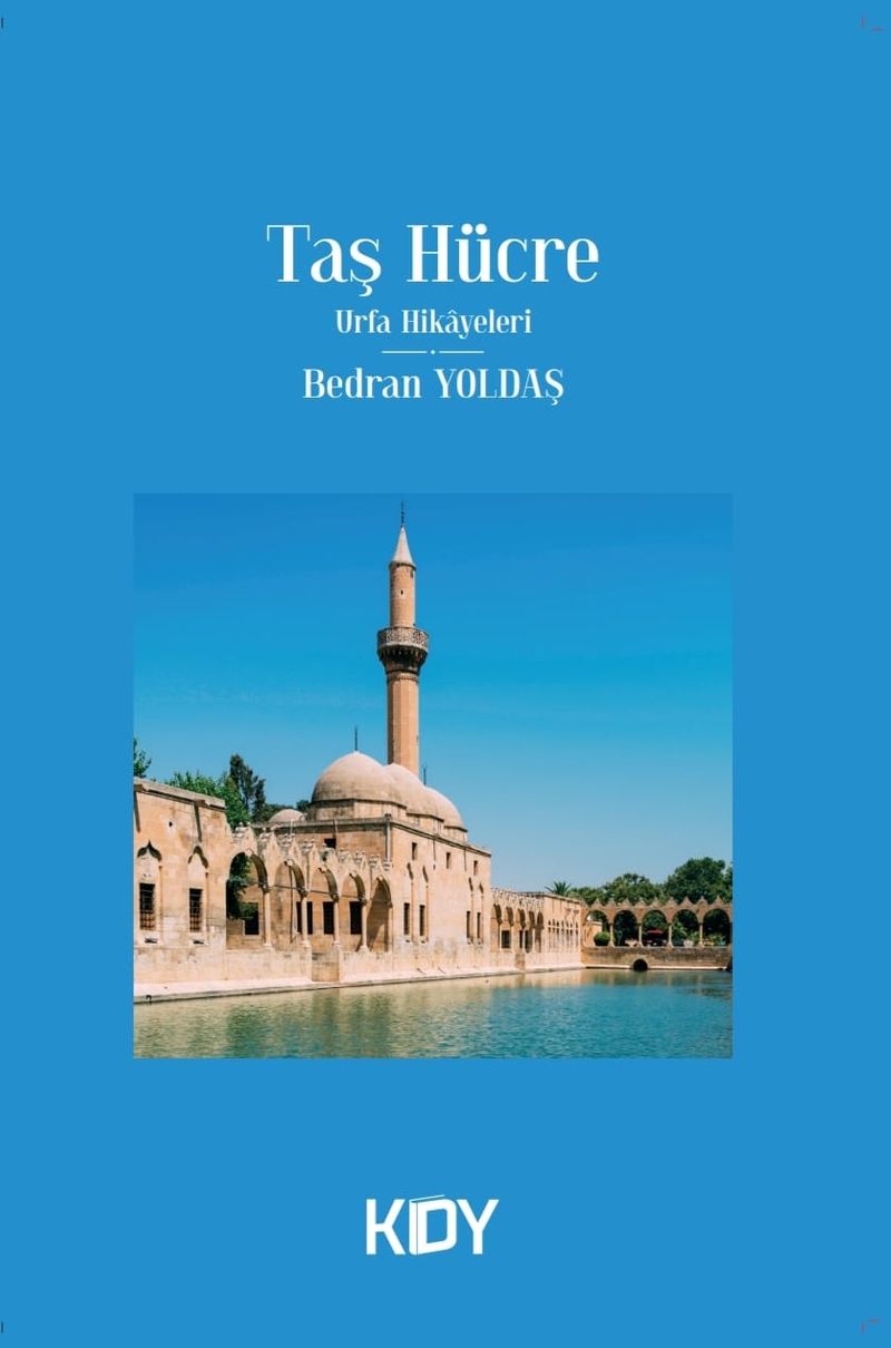 Taş Hücre