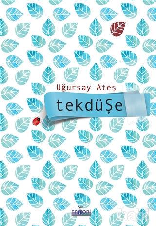 Tekdüşe