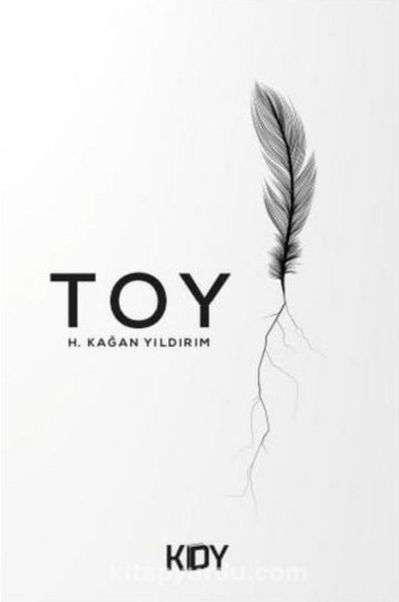 Toy