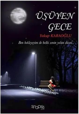 Üşüyen Gece
