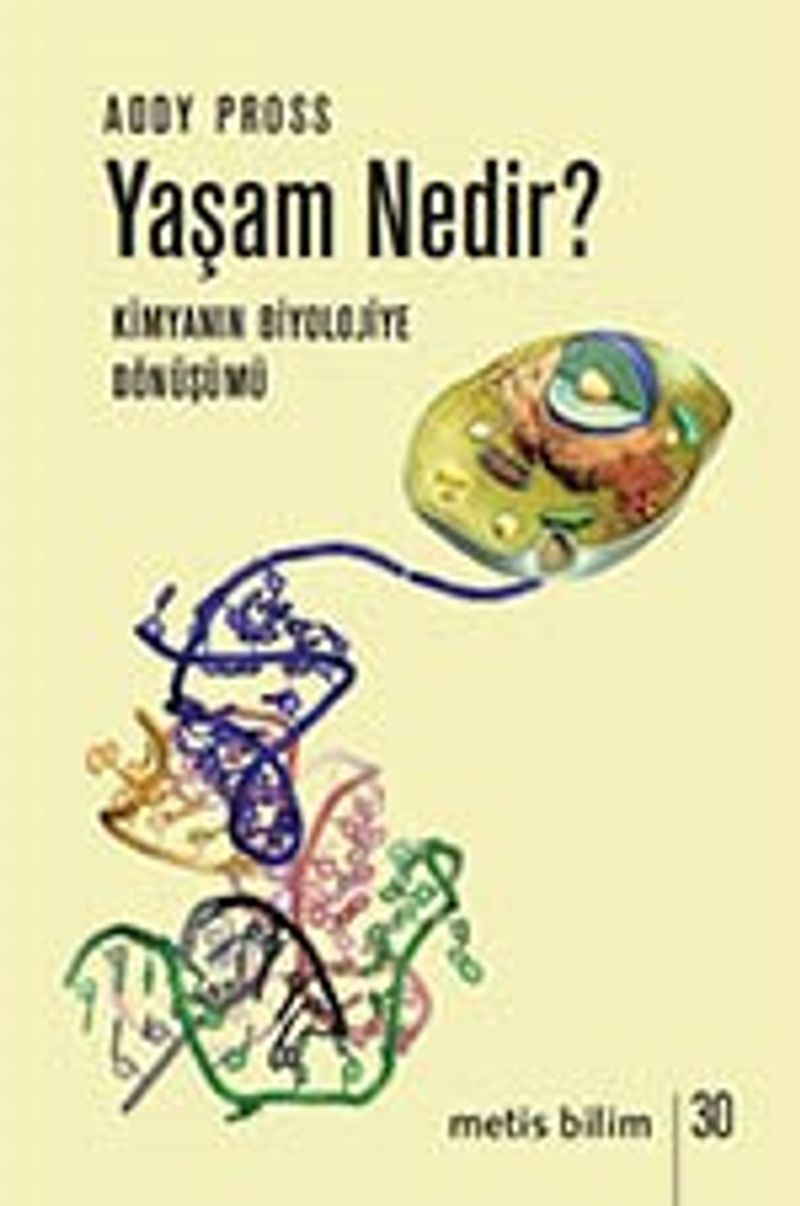 Yaşam Nedir?  Kimyanın Biyolojiye Dönüşümü