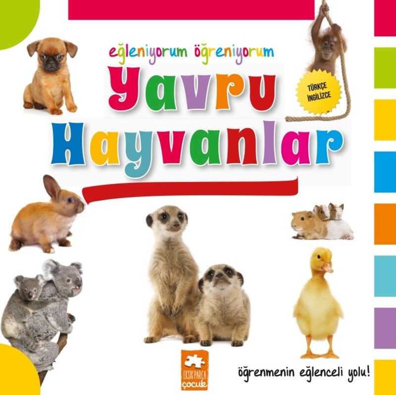 Yavru Hayvanlar