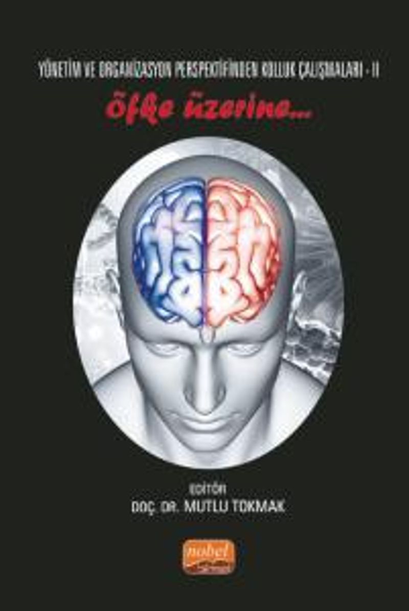 Yönetim ve Organizasyon Perspektifinden Kolluk Çalışmaları II  Öfke Üzerine